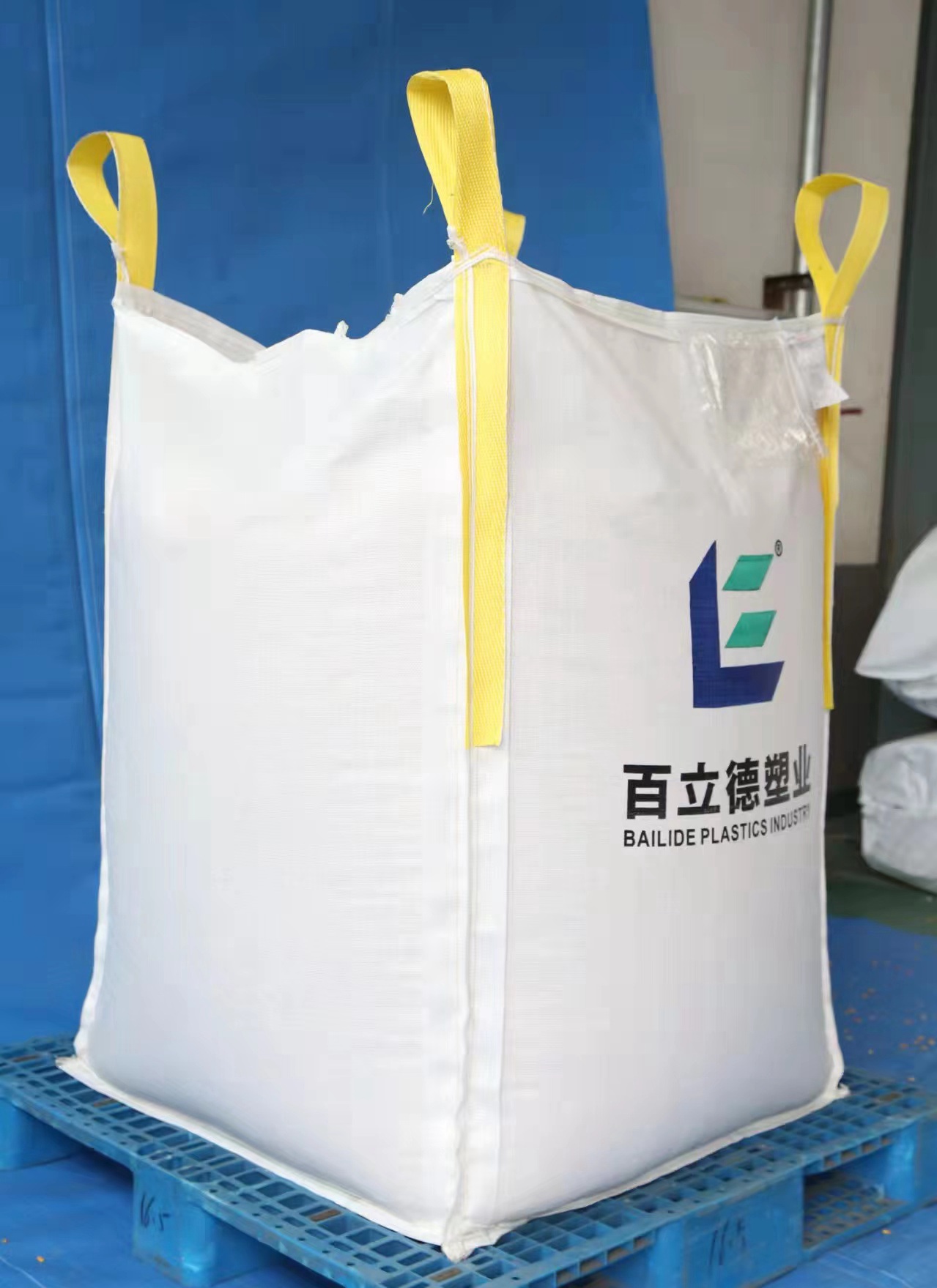Food container bags